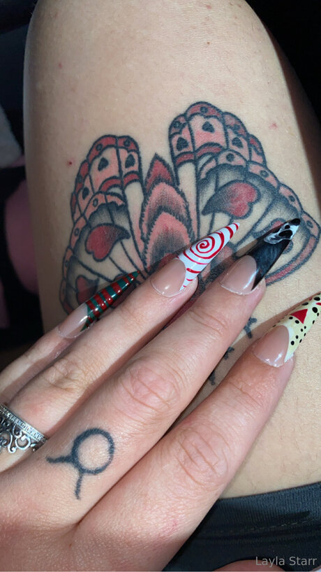 Bttrfly Chaser schöne galerien