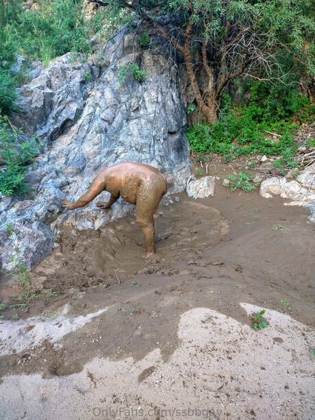 promi-free-onlyfans exklusive erotische foto