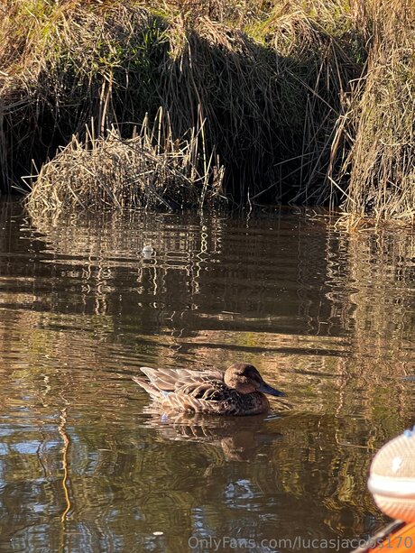 Lucasjacobs170 perfekte foto