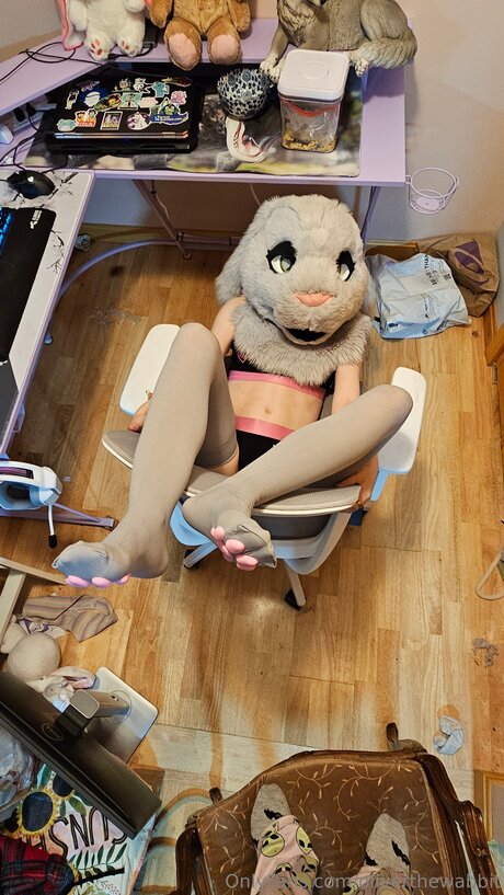 Oliverthewabbit model schöne bilder