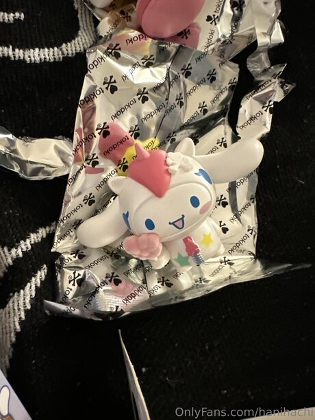 Hanihachi schöne fotos