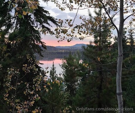 Daisyknickers xxx hd bilder