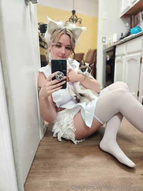 Bumblebieve freie kunst fotos