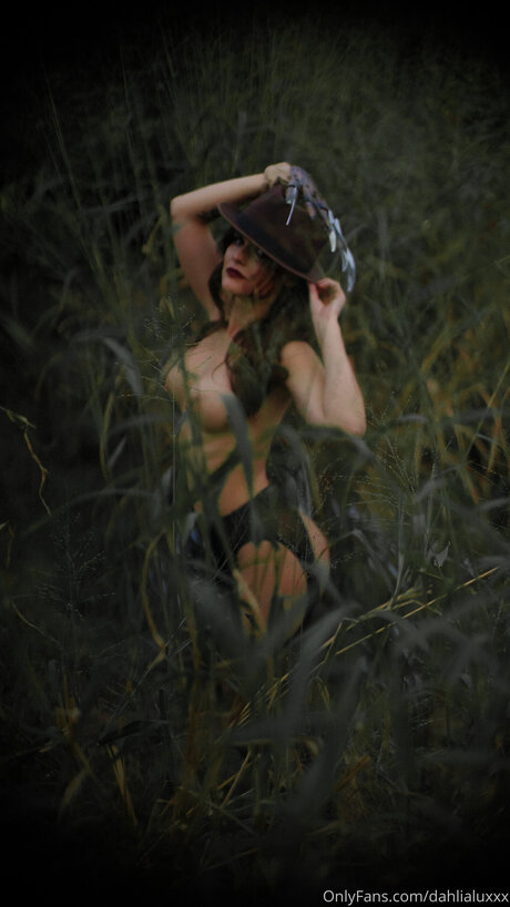 Dahlialuxxx top archiv