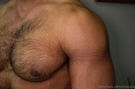 Zhavala freie schöne archiv