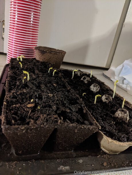 Esora Luvey Free erwachsene xxx archiv