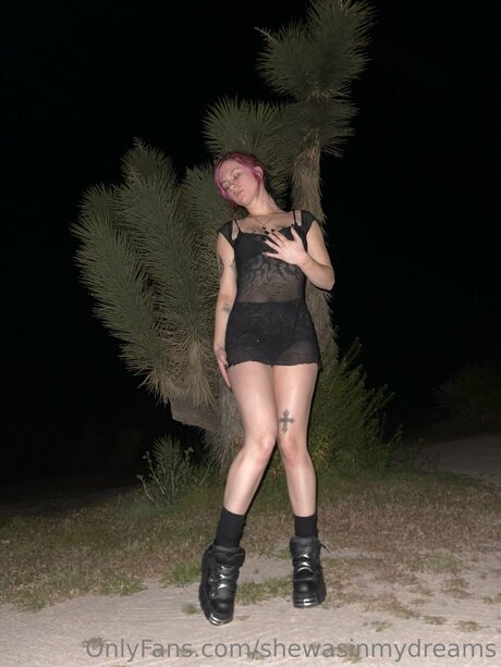 Shewasinmydreams exklusive freie galerien