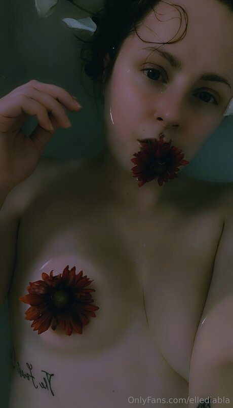 Ellediabla hübsche beste galerien