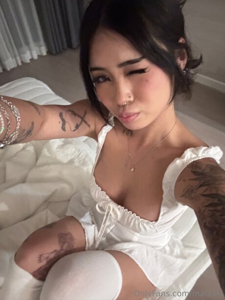 Carrotscake top schöne foto