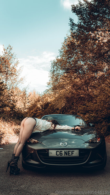 U405646159 schöne foto