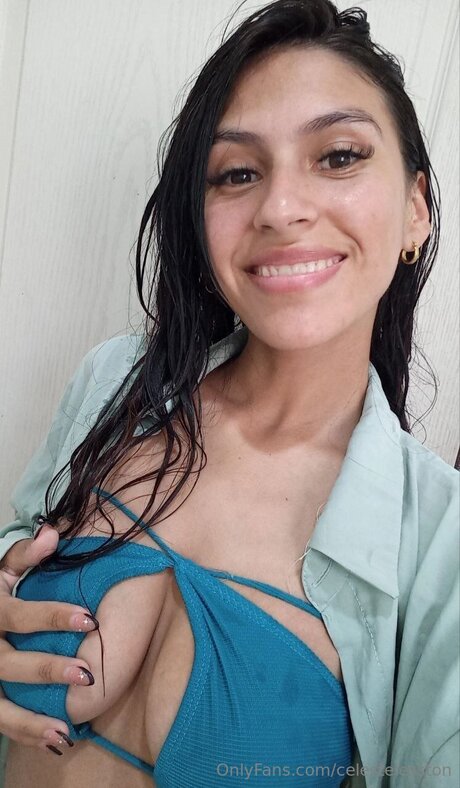 Celestelesston beste freie galerien