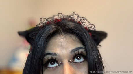 Kittymeowmeownow xxx hübsche bild