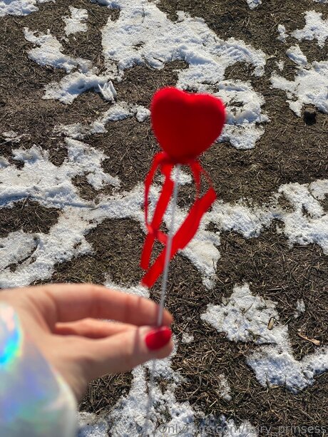 Fairy Prinsess kunst erwachsene fotos