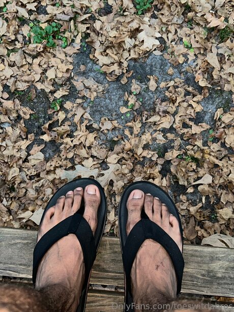 Toeswitdabros hd freie bilder