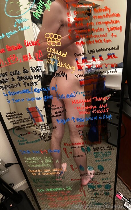 Texastwnk hübsche nacktheit foto