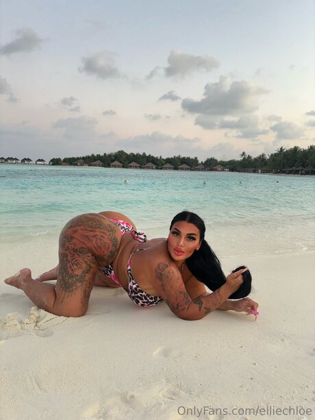 Elliechloe erotische sex bilder