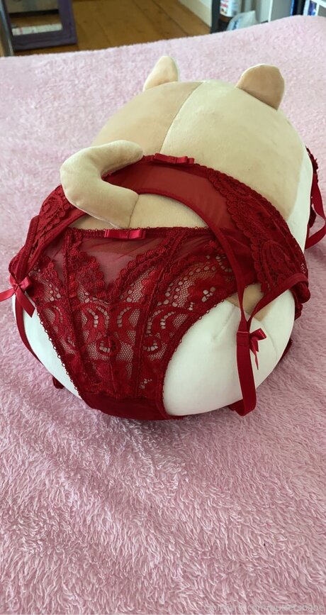 Zaykap exklusive akt bild