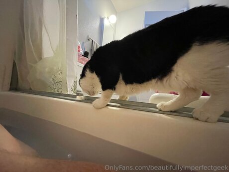 Beautifullyimperfectgeek porno sexy bilder