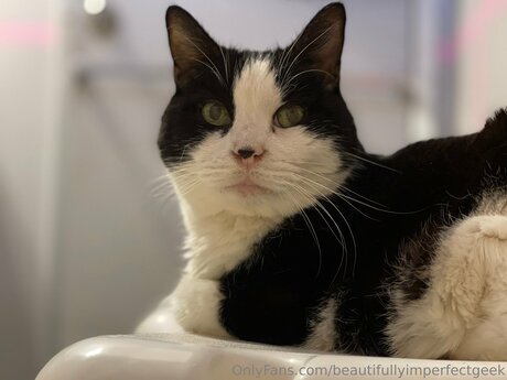 Beautifullyimperfectgeek kunst heiße archiv