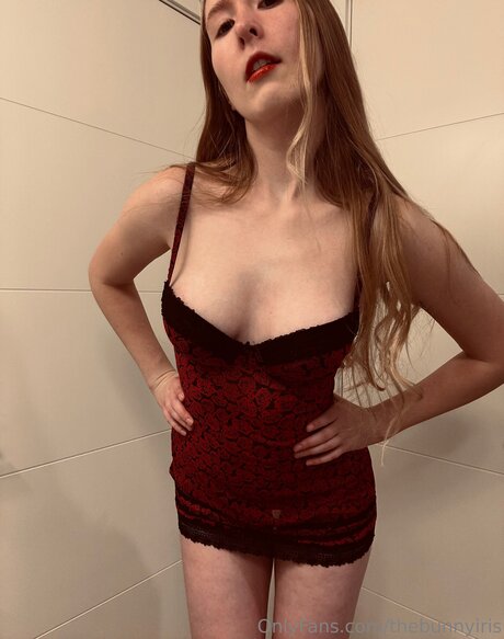 Thebunnyiris kostenlose perfekte archiv