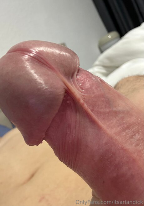 Itsariandick kunst nackten bild