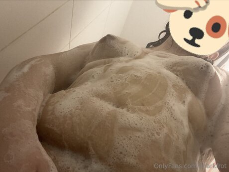 Sharkfrot kunst nette bild