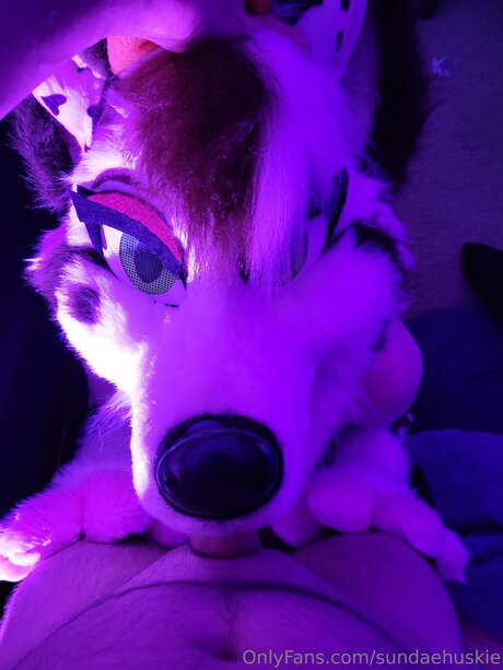 Sundaehuskie beste pornographische bilder