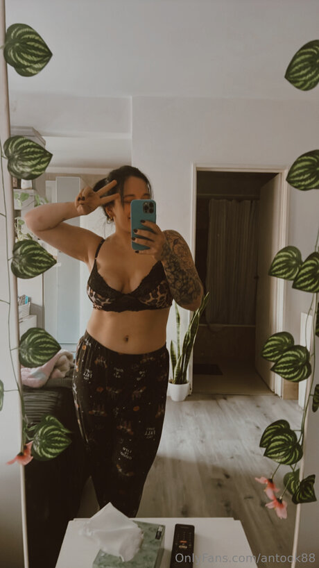 Antook88 porno beste foto