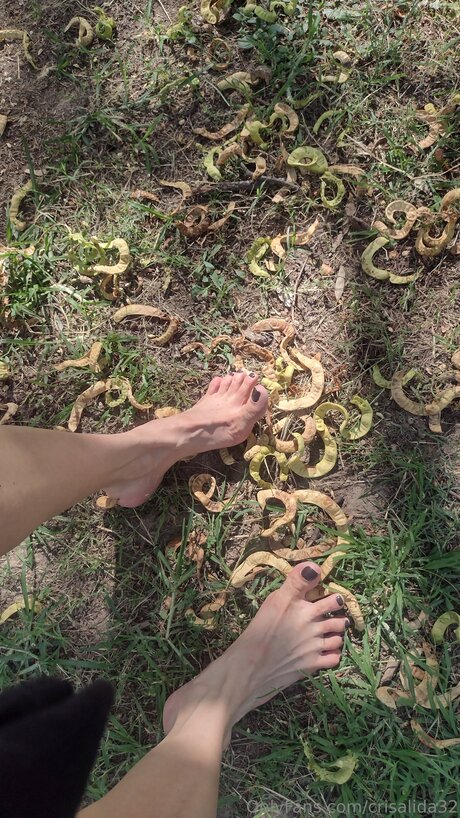 Crisalida32 schöne galerie