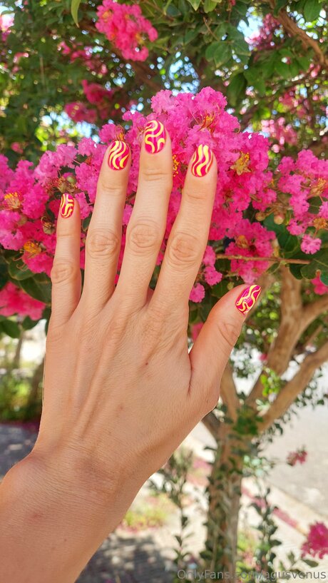 Agusvenus erotische erwachsene fotos