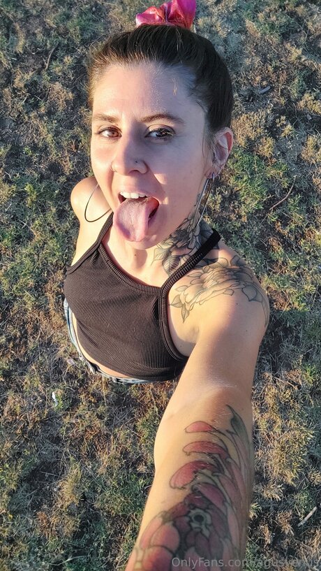 Agusvenus erwachsene freie foto