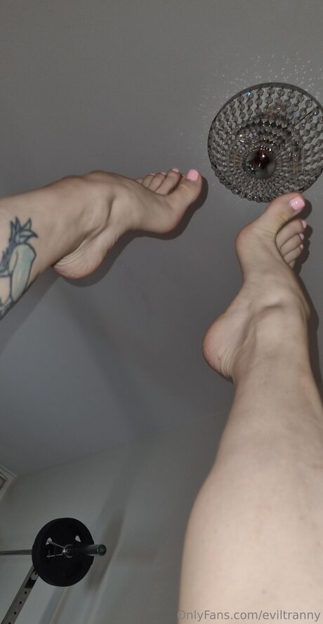 Eviltranny kostenlose xxx bild