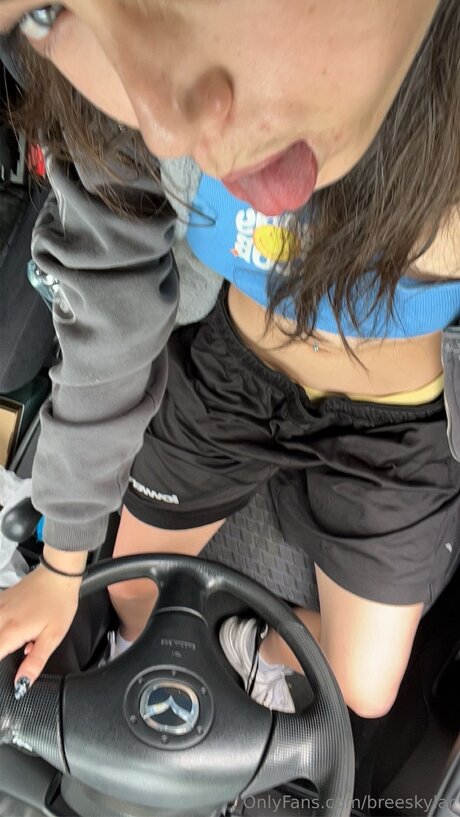 Breeskylar beste schöne bild