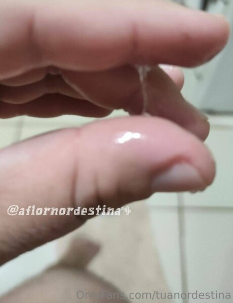 Tuanordestina exklusive freie archiv