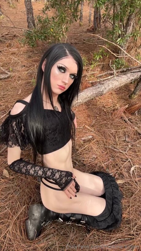 Maxinekitten beste nette foto