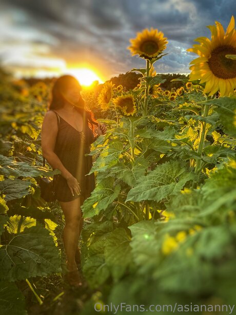 Asiananny sexy kunst archiv