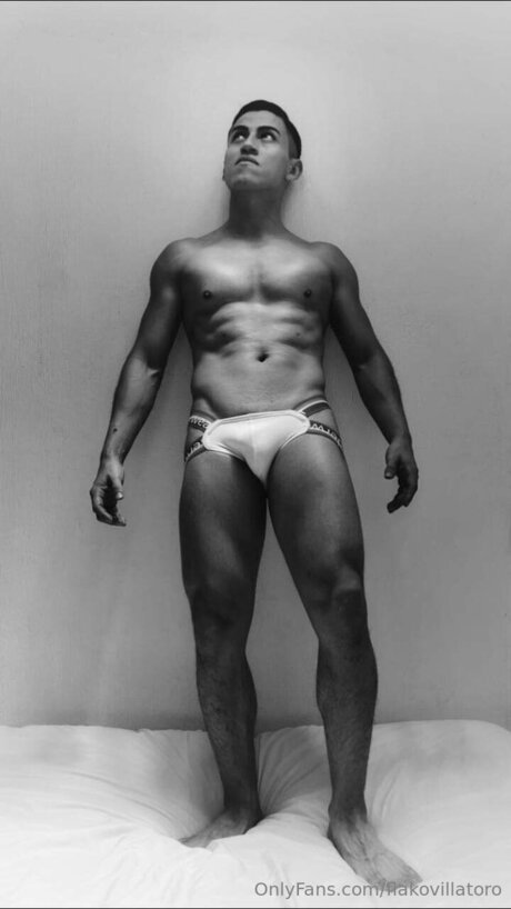 Flakovillatoro kostenlose top fotos