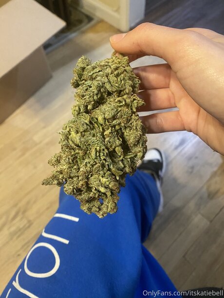 nackte frau onlyfans hd porno galerie