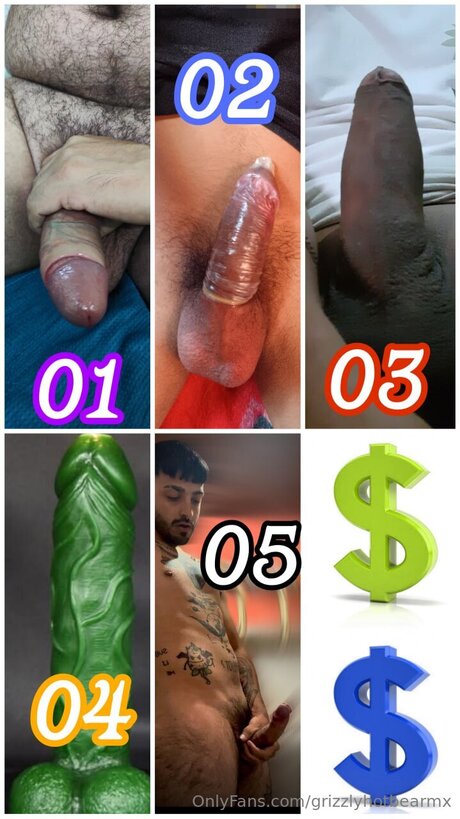 Grizzlyhotbearmx heiße freie foto