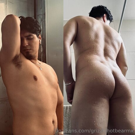 Grizzlyhotbearmx schöne archiv