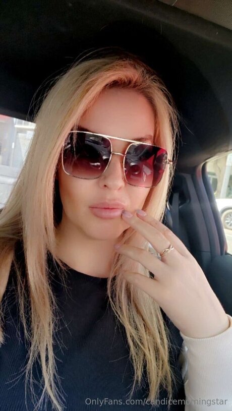 Candicemorningstar perfekte pornostar archiv