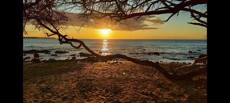 teen asiatische onlyfans top sexy foto