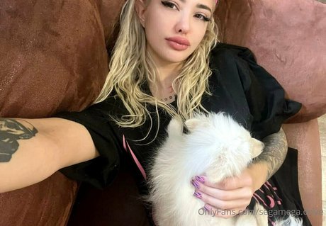 segamega drive erwachsene top fotos