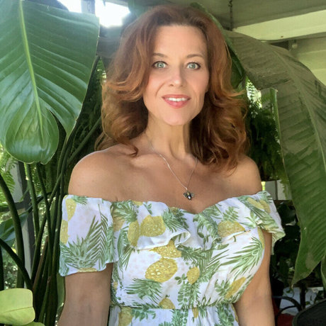 HoneyBeeZone kunst hd foto