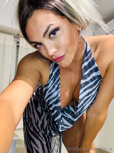 Reina Ts perfekte porno bild