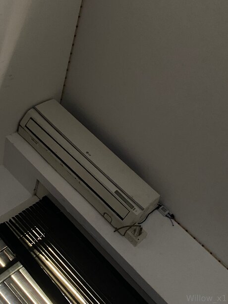 Rdk Willow exklusive nette archiv