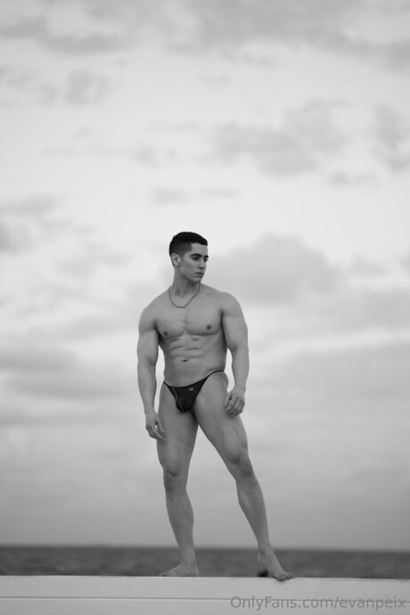 Evanpeix top erwachsene bilder