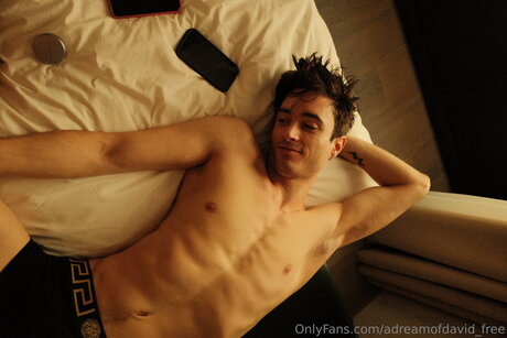 Adreamofdavid Free erotische kunst galerien