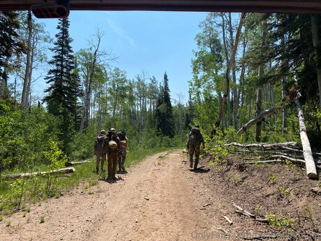 asiatische tattoos nur fans heiße exklusive archiv