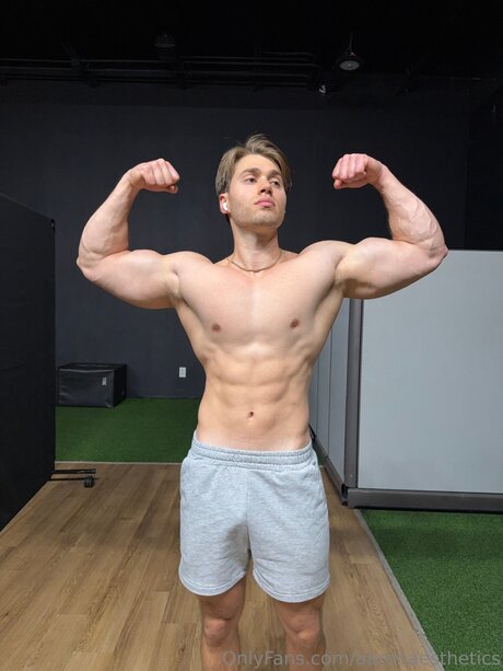 Aaronaesthetics xxx kunst galerie